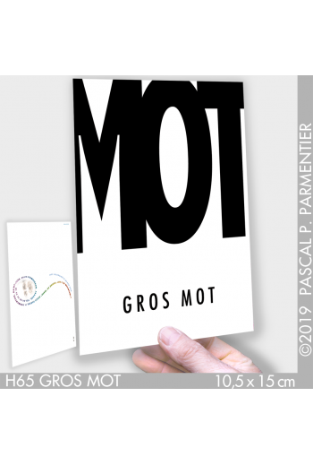 H65 GROS MOT