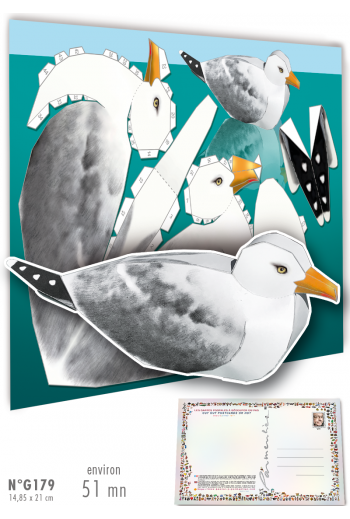G179 MOUETTE
