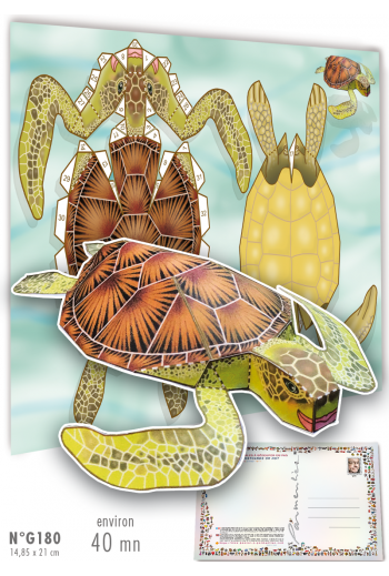 G180 TORTUE DE MER