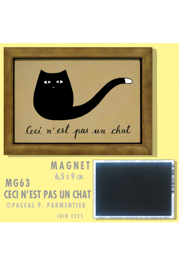 MG63 CECI N'EST PAS UN CHAT