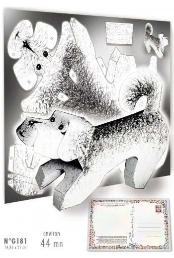 G181 CHIEN FARIGOULET
